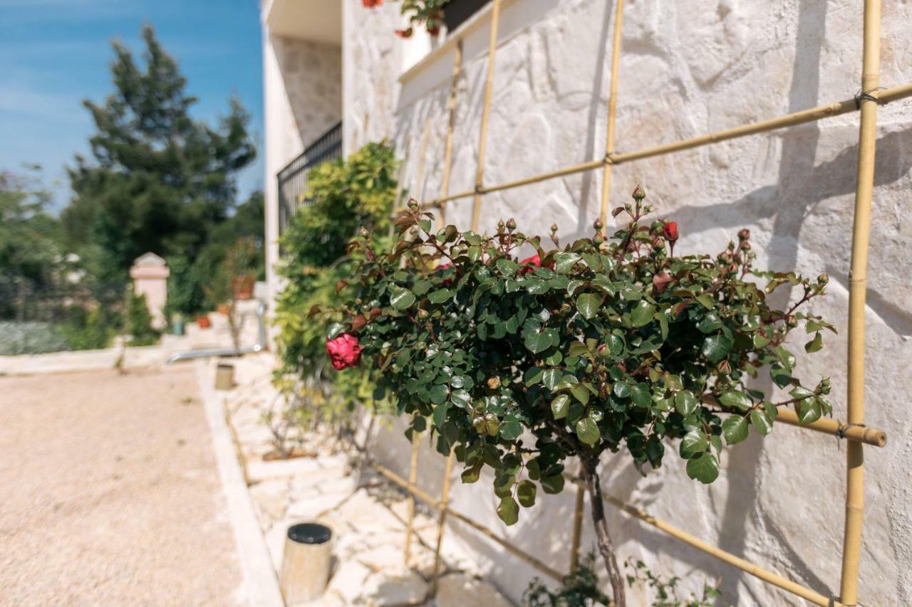 Appartement Hedon-Stone à Starigrad Paklenica Extérieur photo
